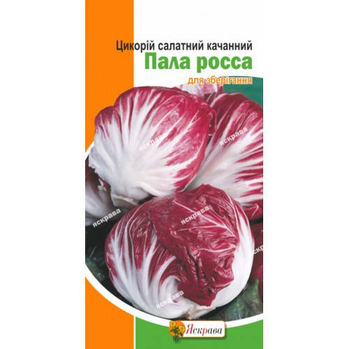 

Цикорий салатный кочанный Пала росса