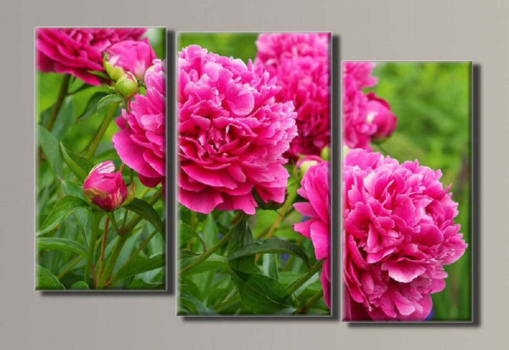 

Набор алмазной вышивки мозаики триптих "Пионы"