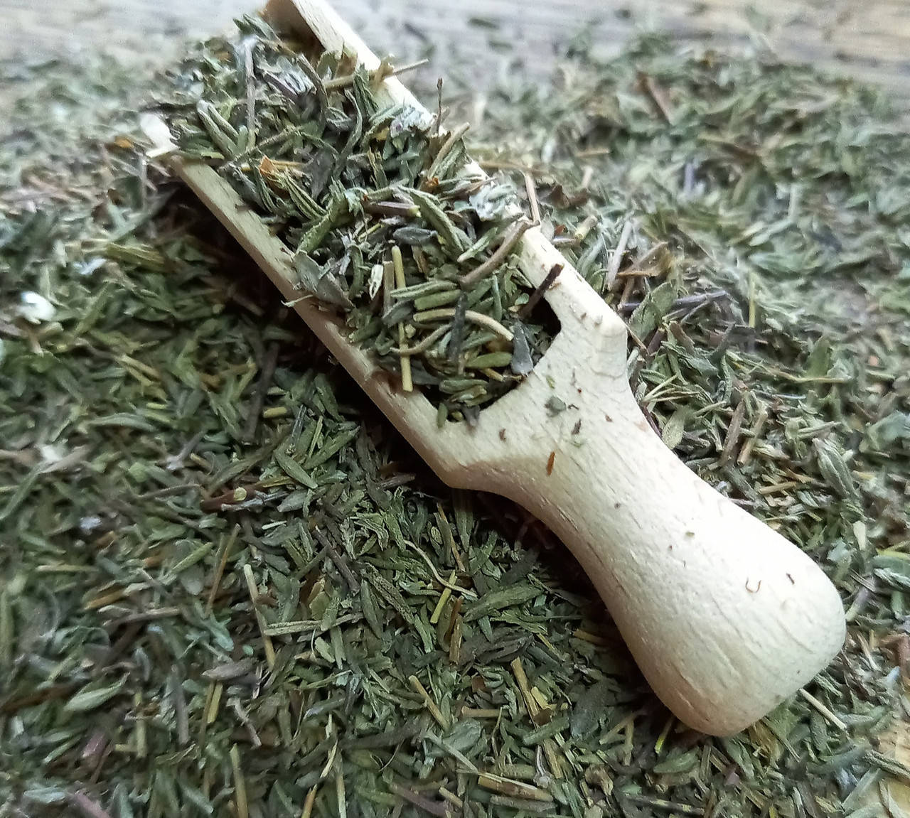 

Чебрець (тим'ян)