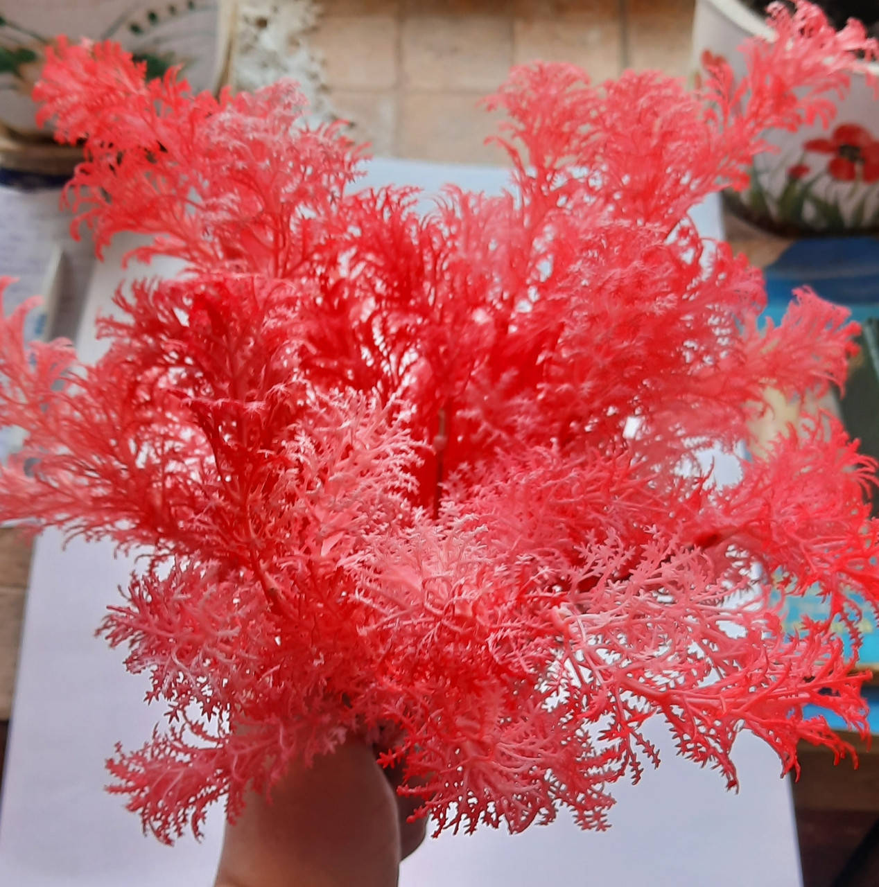 

Декоративная зелень для декора, мыльных букетов и композиций. ПЫШНАЯ ДОБАВКА КОРАЛЛОВЫЙ ЦВЕТ ПРЕМИУМ КАЧЕСТВА