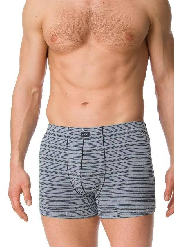 

Трусы-шорты мужские KEY MXH-301 B20, хлопок XXL голубой