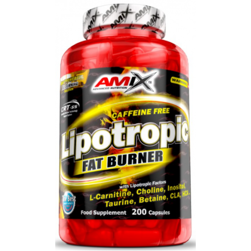 

Amix Lipotropic Fat Burner 100 капсул