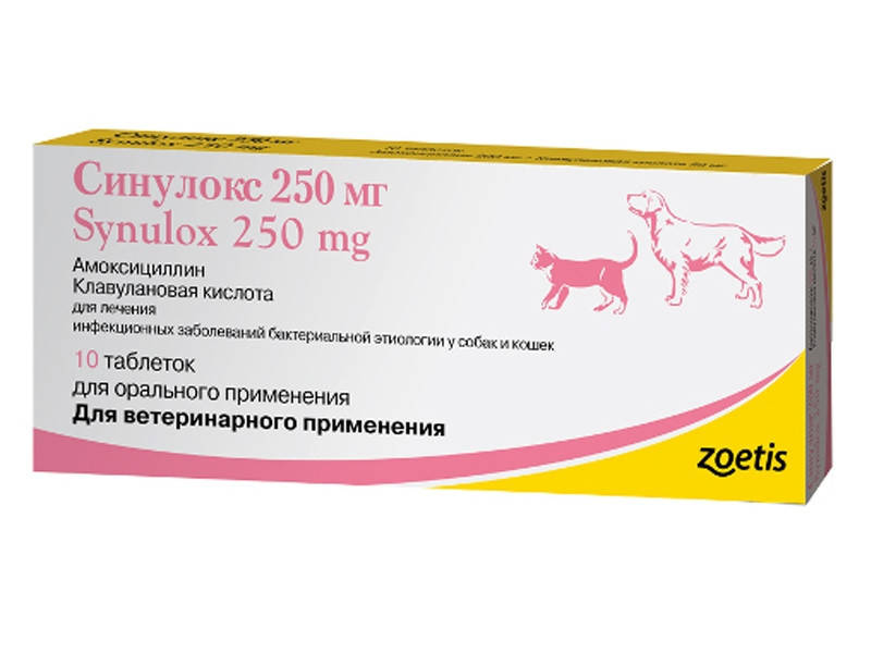 

Synulox (Синулокс) 250 мг (10 таблеток) для собак и кошек