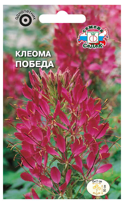 

Семена Клеома Победа 0,2 грамма Седек, Розовый