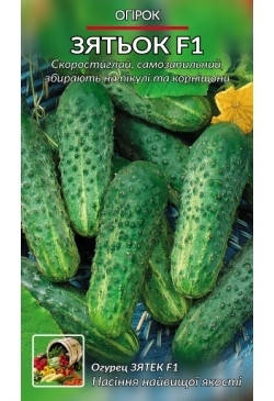 

Огурец Зятек F1