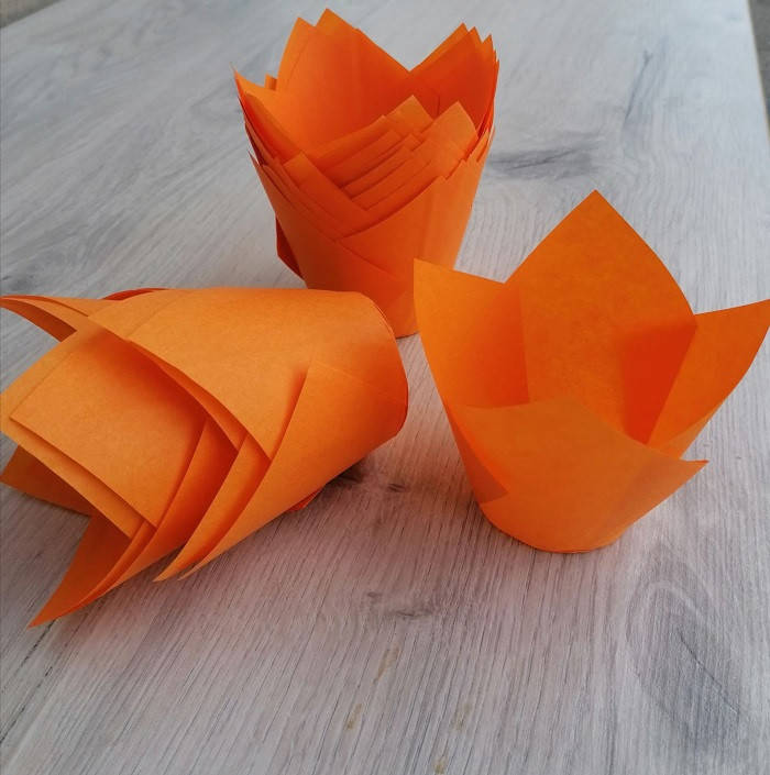 

Бумажная форма Тюльпан