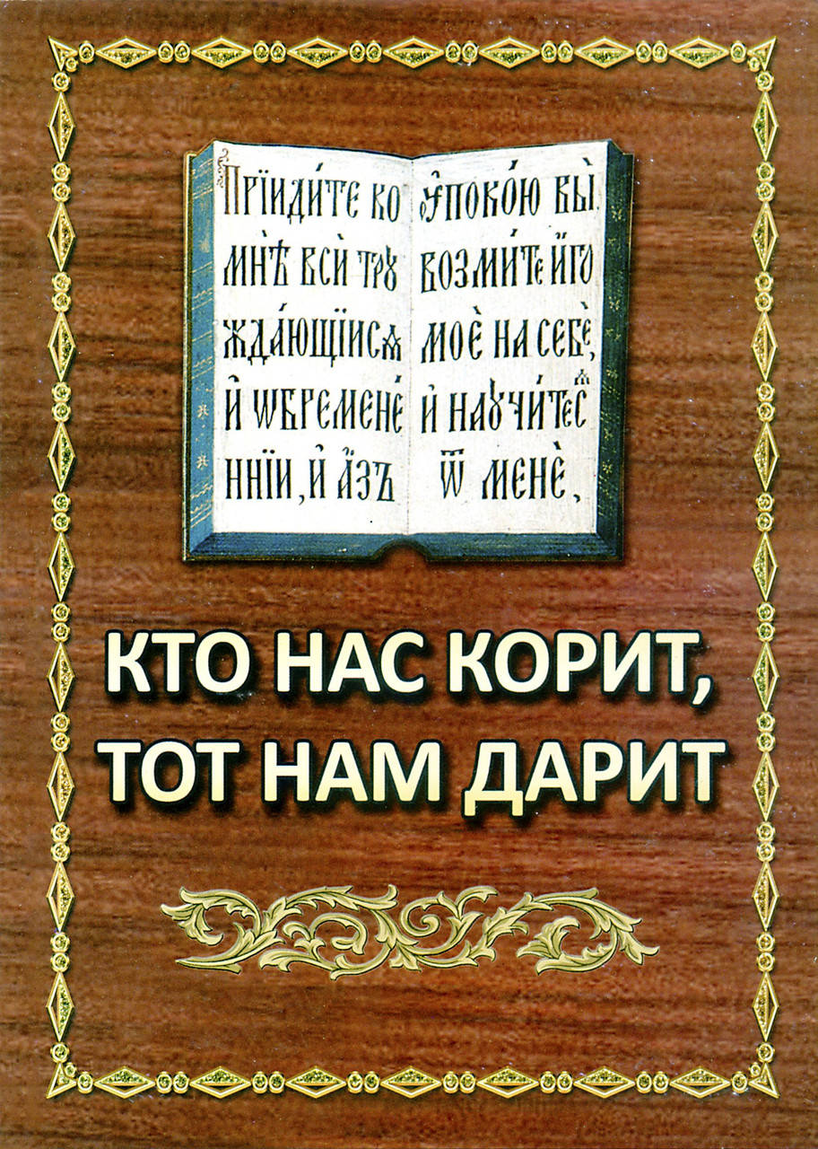 

Кто нас корит, тот нам дарит