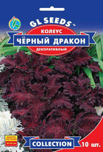 

Колеус Черный Дракон с фантастически красивым бархатистным краем, упаковка 10 шт