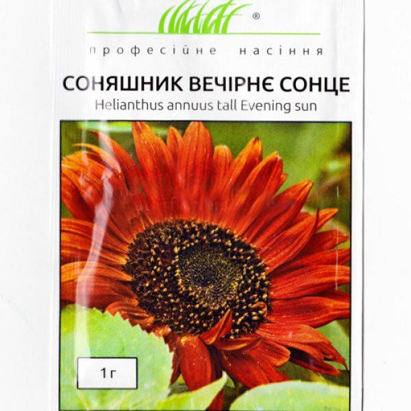 

Семена Подсолнечник Вечернее солнце 1 г