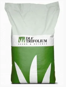 

Насіння газоної трави DLF Trifolium Playground Плейграунд 20 кг, Зелёный