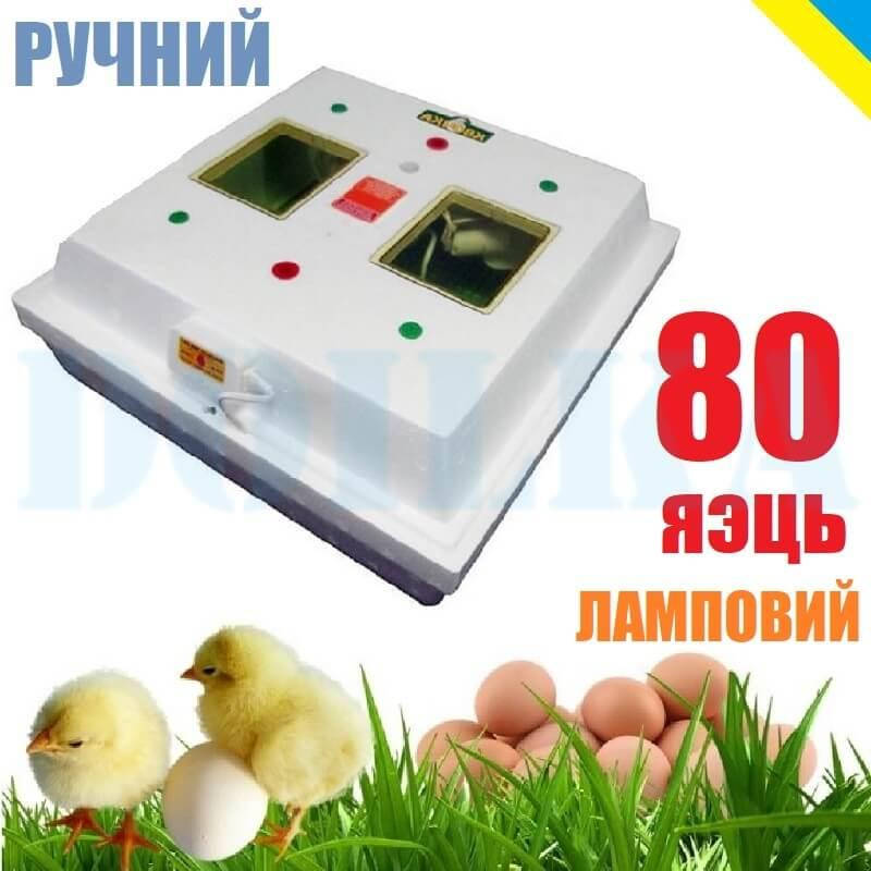 

Инкубатор Квочка МИ-30-1С (ручной , 80 яиц, ламповый)
