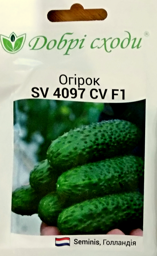 

Семена огурца SV 4097 CV F1 10шт ТМ ДОБРІ СХОДИ