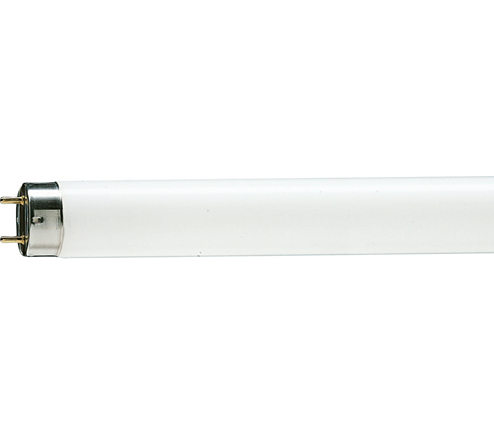 

Лампа люминесцентнаяTL-D 15w/33-640 PHILIPS G13
