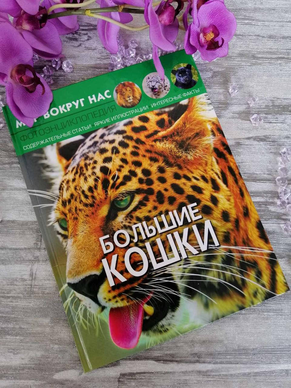

Большие кошки. Мир вокруг нас. Фото энциклопедия. Афонин М.Е.