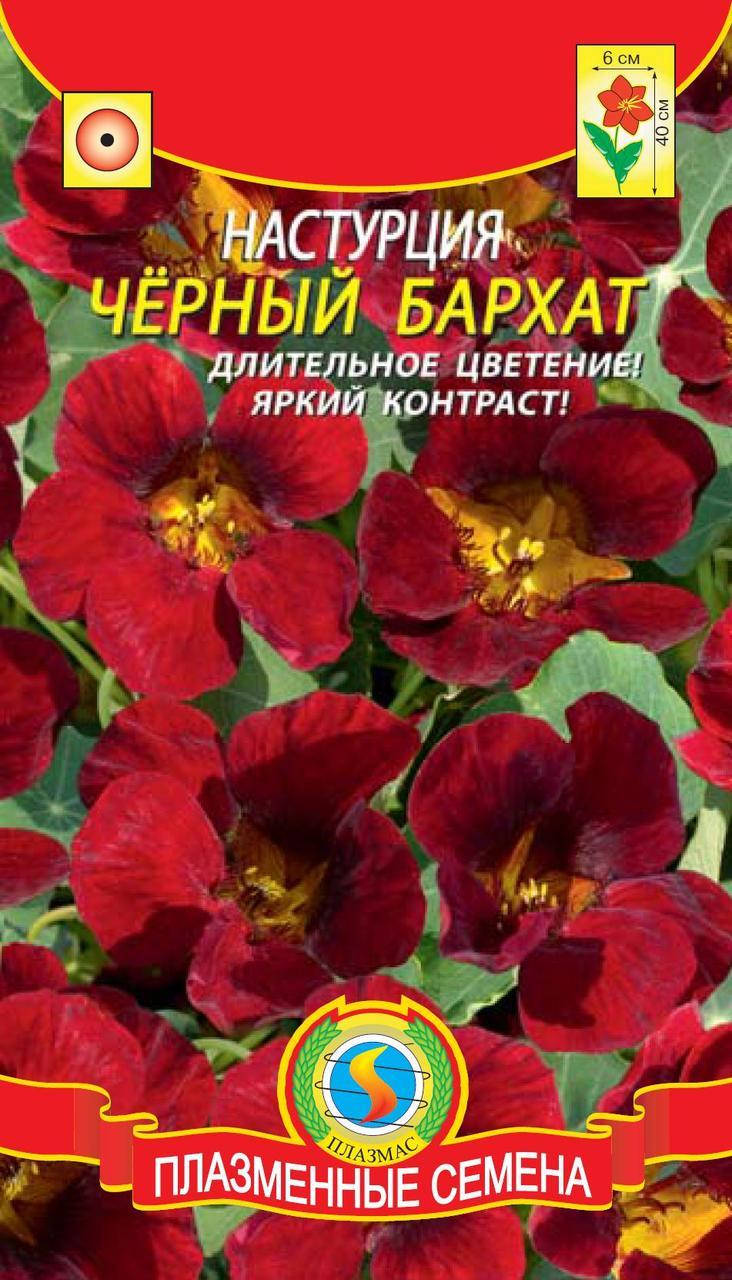 

Настурция Черный бархат 6 шт (Плазменные семена)