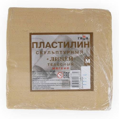 

Пластилин скульптурный Гамма мягкий 500г ц.Телесный 2.80.E050.002