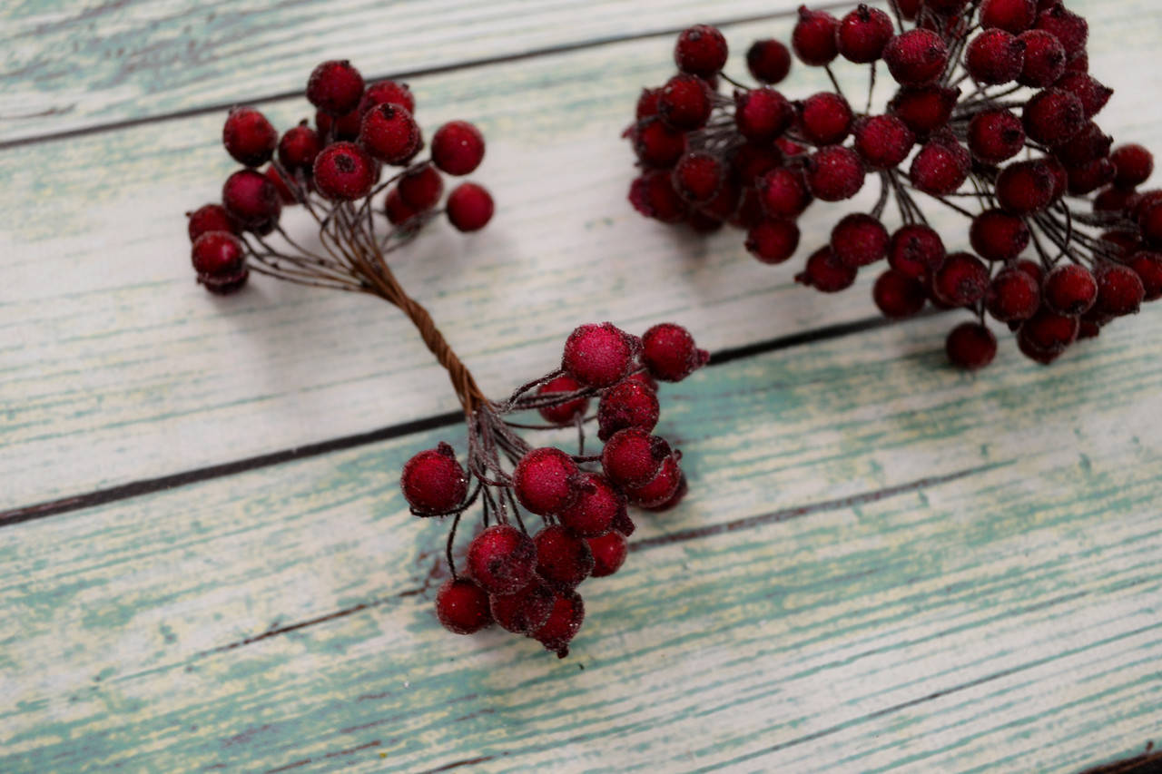 

Калина сахарная 12мм пучок 18-20 веточек цвет - бордо