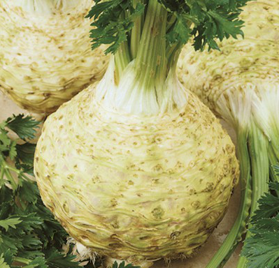 

Сельдерей корневой Монарх 0.25 г