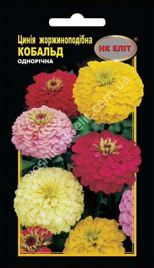

Цинния Кобальт