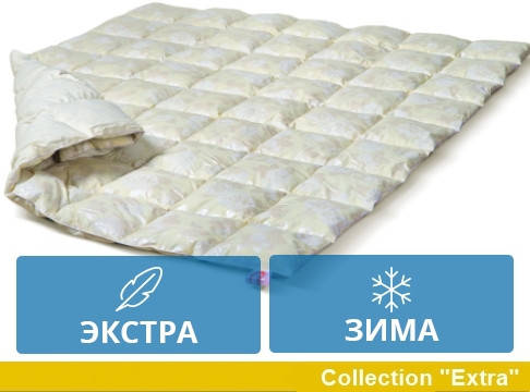 

Одеяло полуторное пуховое Зимнее 140x205 Winter 90% пух 041.21