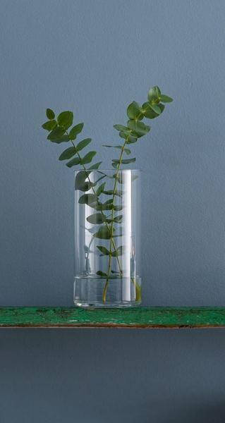 

Ваза Trendglass Inga 35583 20 см, Прозрачный