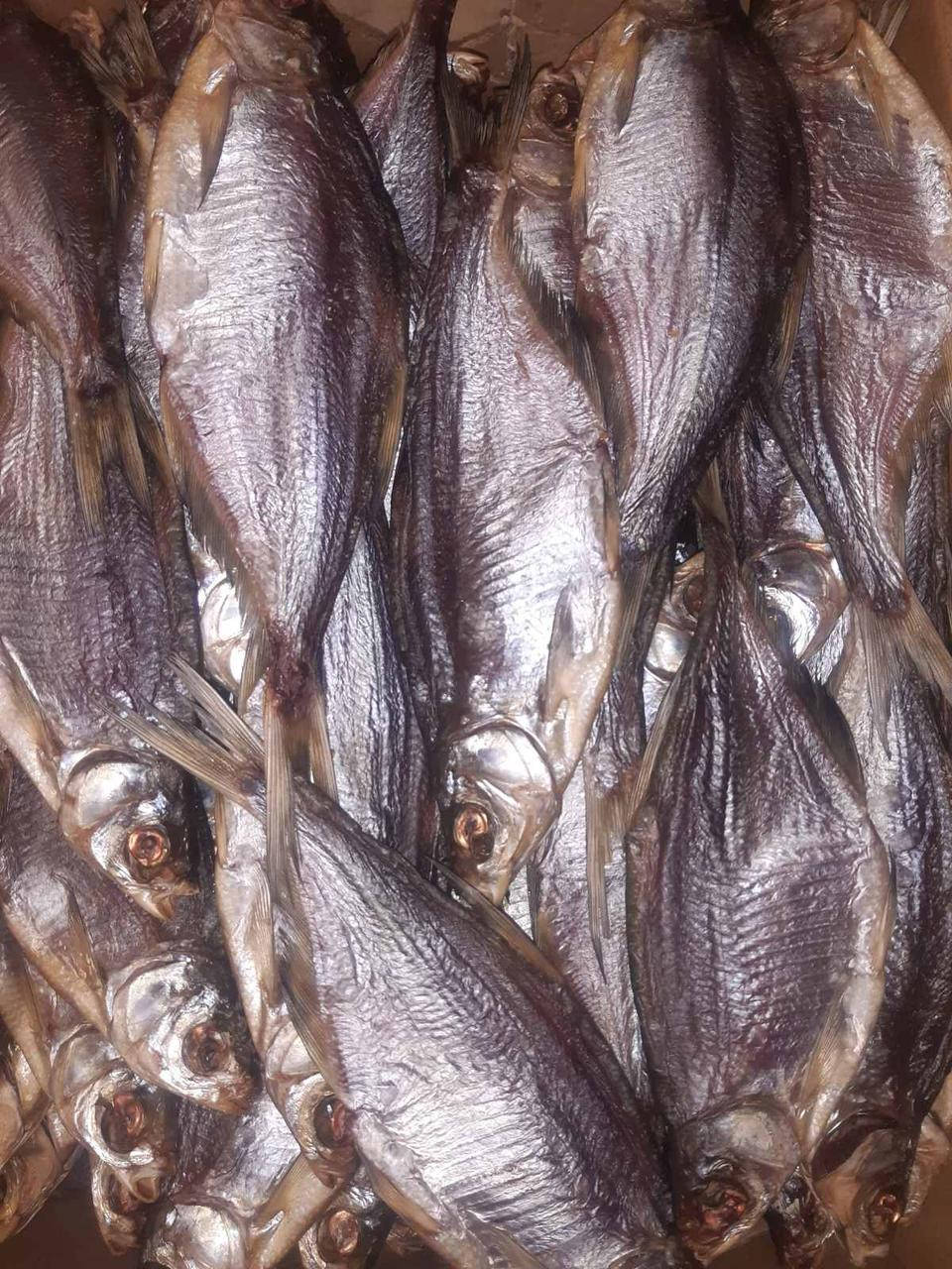 

Синец икряной вяленый, 1 кг.