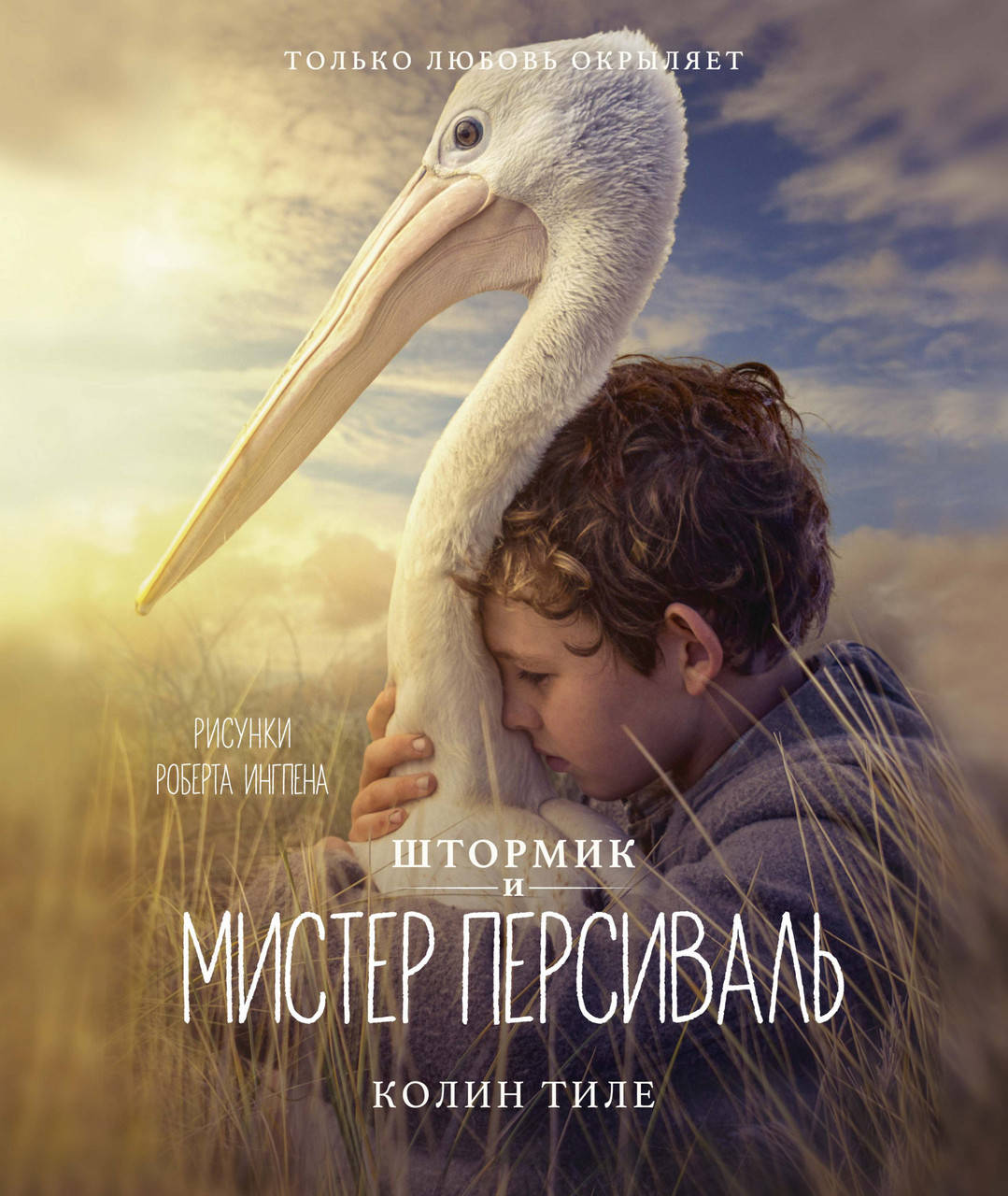 

Штормик и мистер Персиваль (илл. Р.Ингпена). Тиле К.