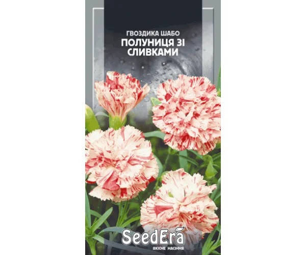 

Гвоздика Шабо клубника со сливками 0.2 г SeedEra (однолет.)