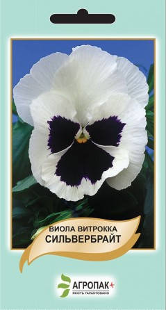 

Семена цветов Виола Витрокка Сильвербрайт 0,1г. Агропак плюс, Белый