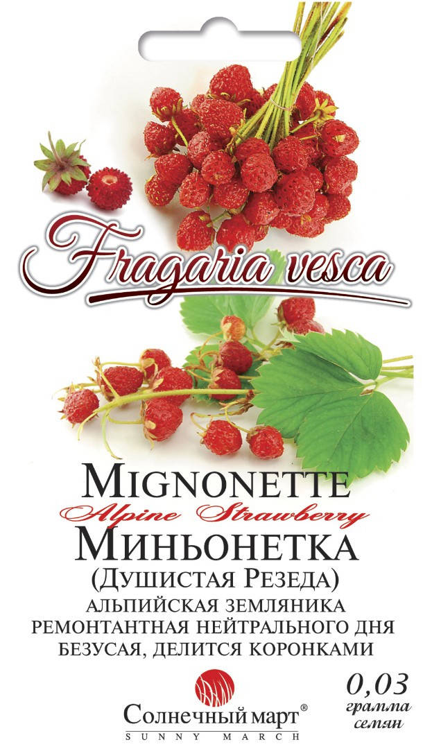 

Семена земляники Миньонетка 0,03г ТМ СОЛНЕЧНЫЙ МАРТ