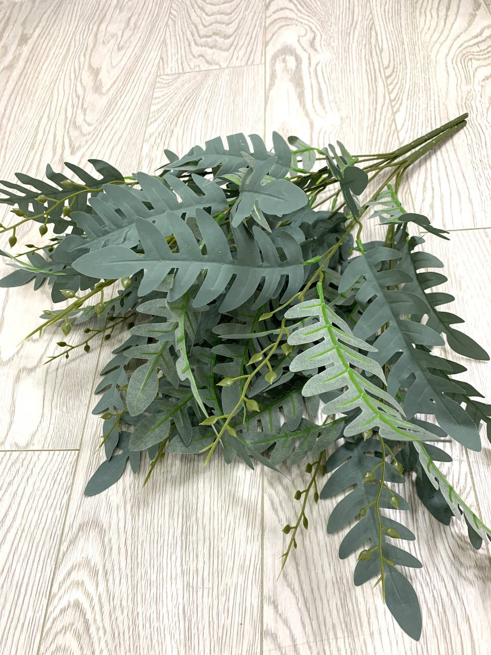 

Папоротник декоративный , зелёный с напылением ( 56 см)