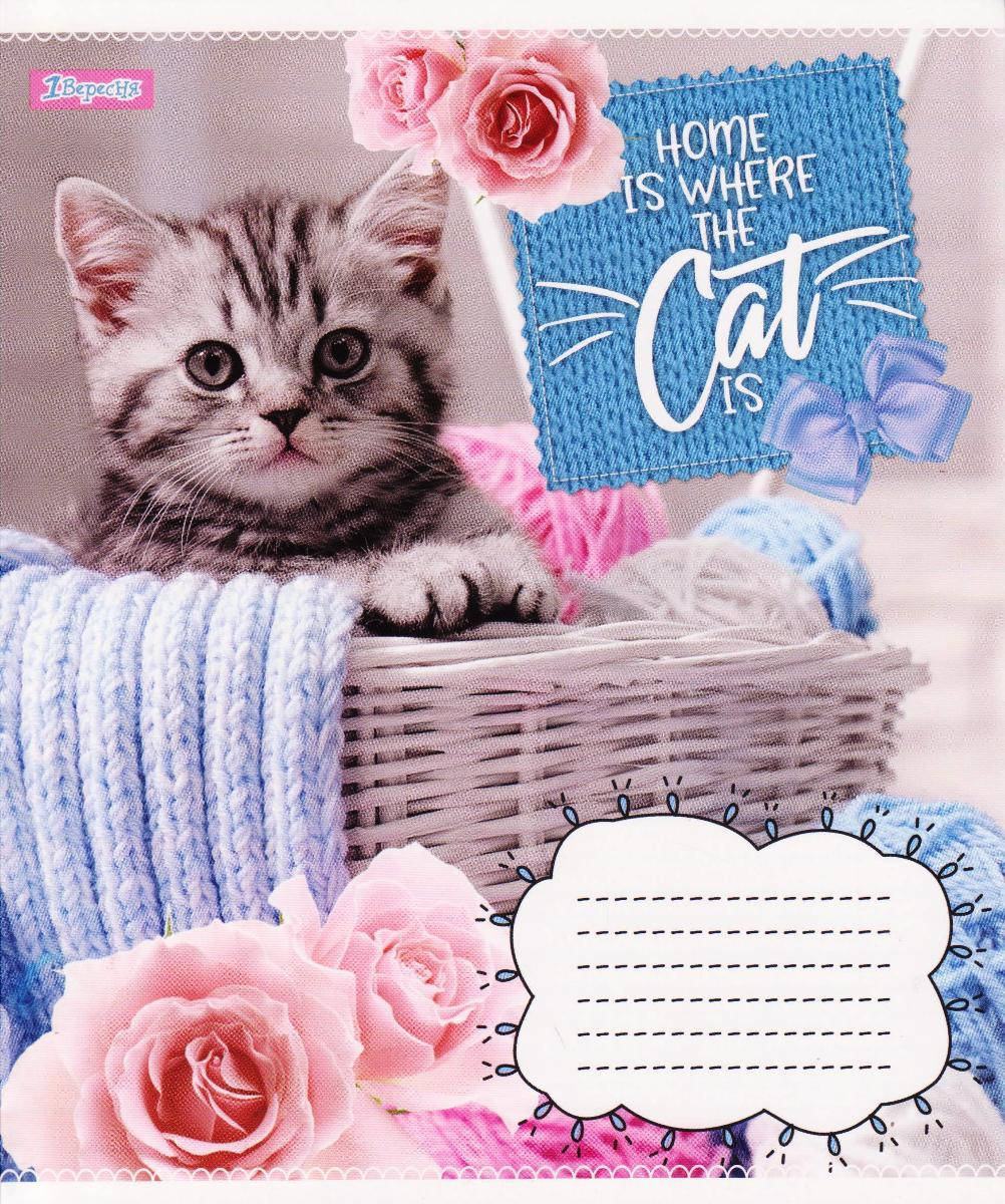 

Тетради школьные 12 л. косая линия "Cats" 764812