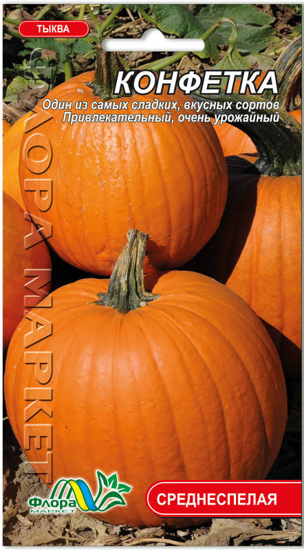 

Тыква Конфетка