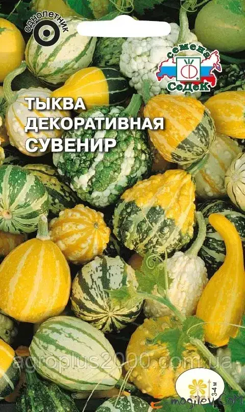 

Семена Тыква декоративная Сувенир 1 грамм Седек