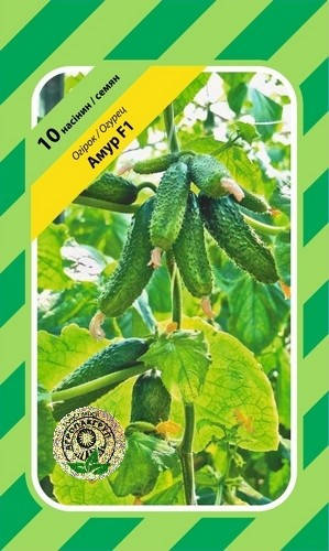 

Семена огурец Амур F1 10шт. Bejo Zaden Голландия