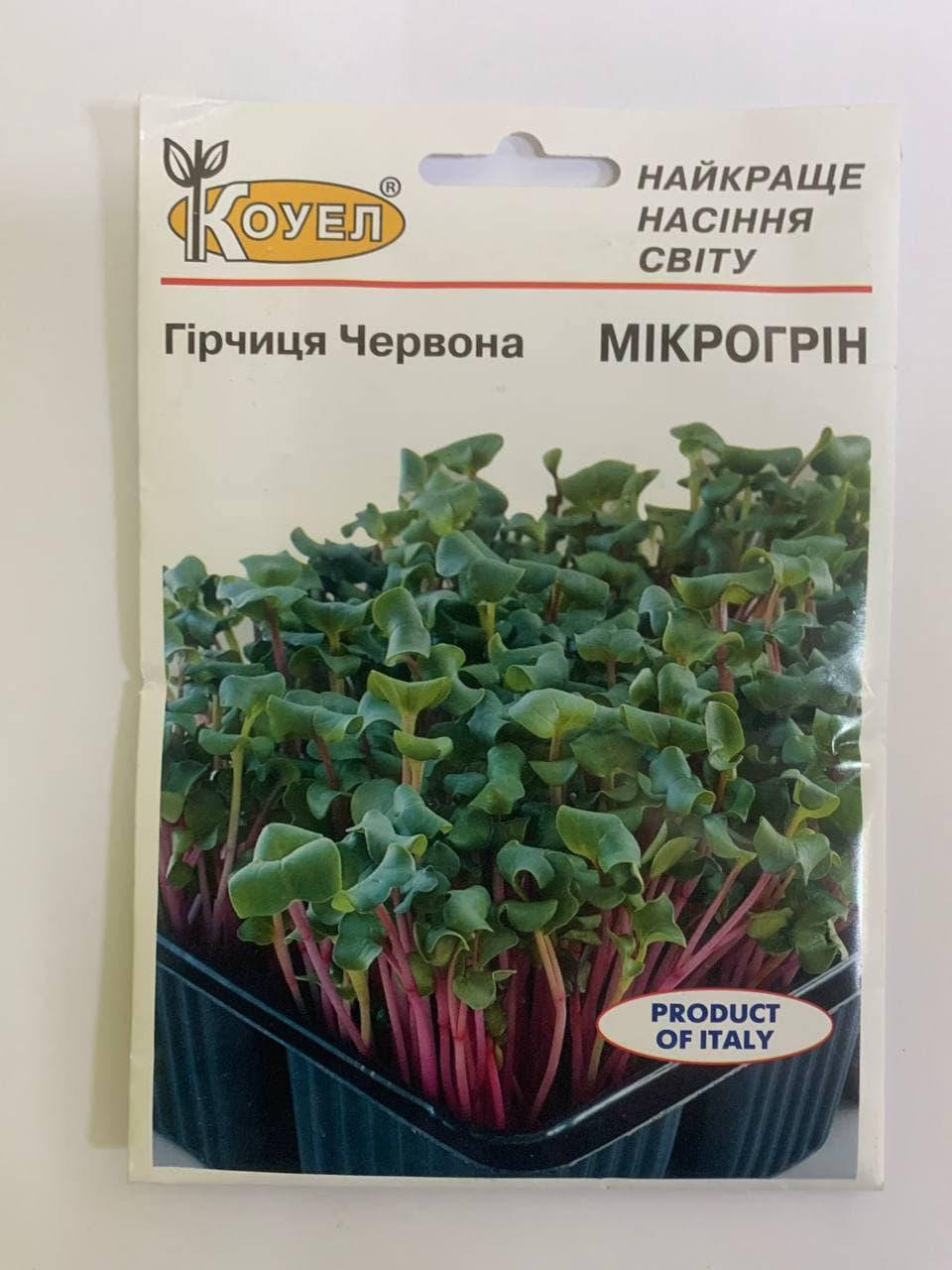 

Мікрозелень Гірчиця червона (Коуел) 10г