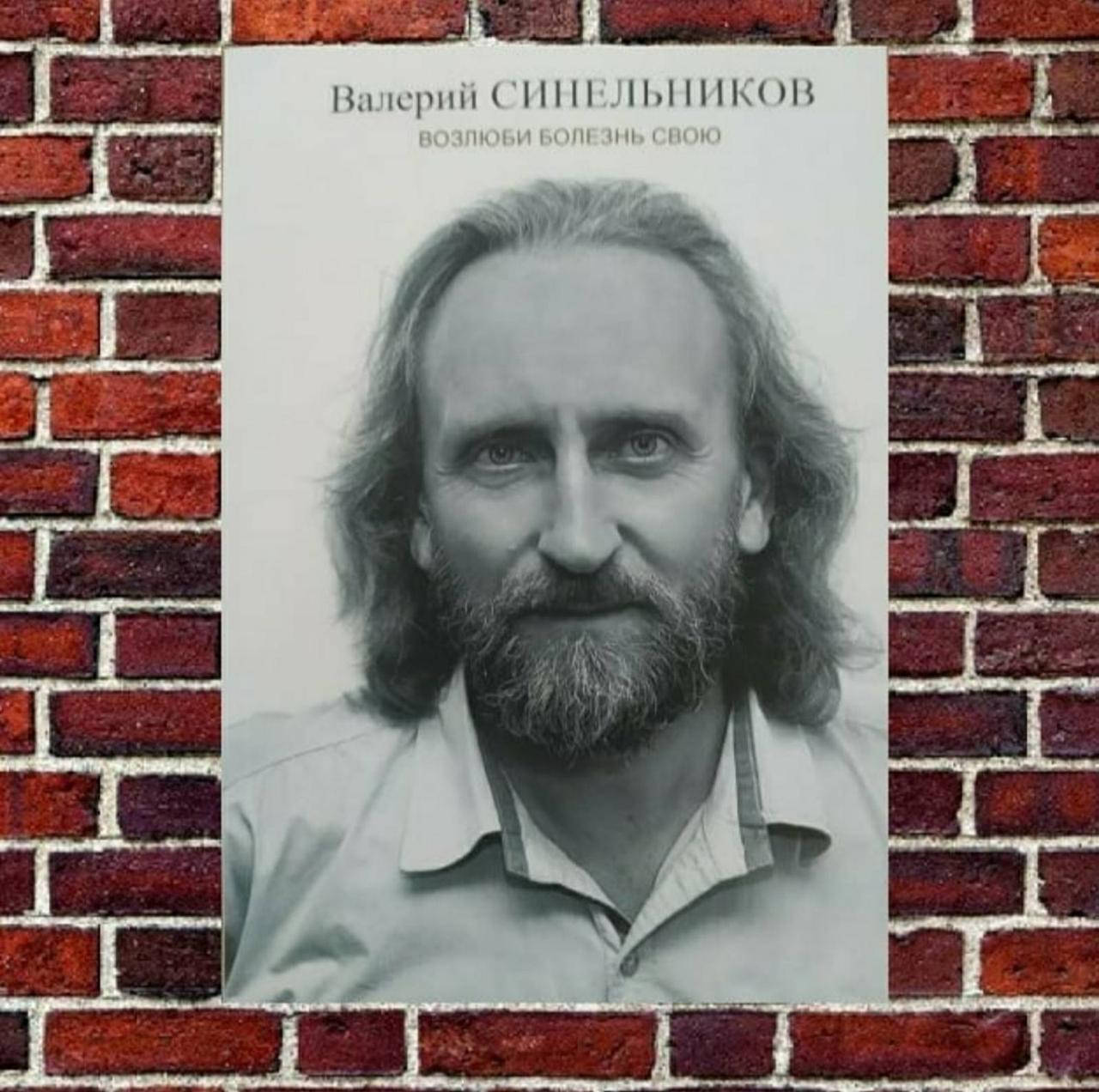 

Возлюби болезнь свою Валерий Синельников