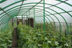 

Пленка тепличная Житомир 6-12м