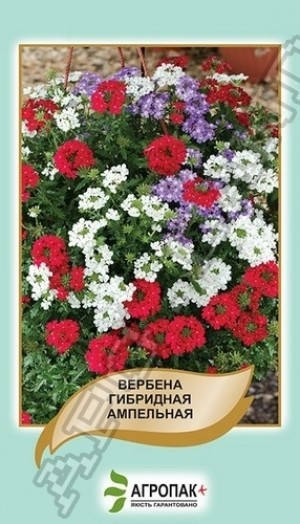 

Семена Вербена гибридная ампельная смесь 0,2 грамма Агропак, Разные цвета
