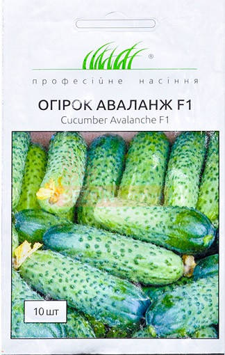 

Професійне насіння. Семена огурец Аваланж F1 10 шт