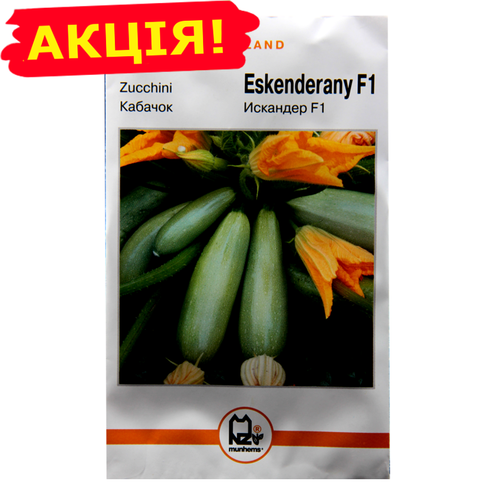 

Кабачок Искандер F1 Holland большой пакет 10 г
