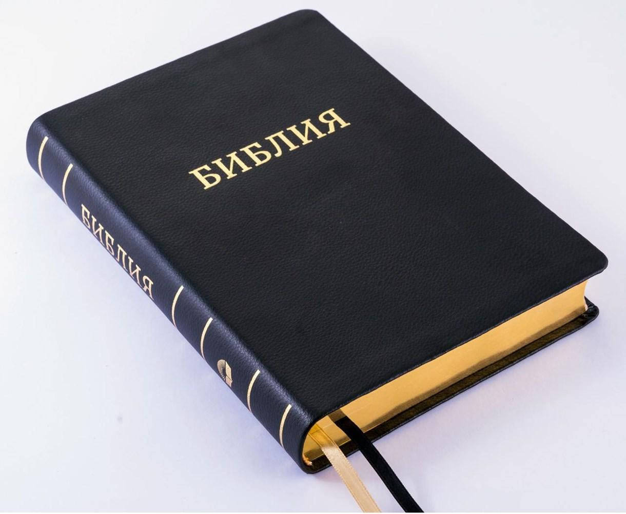 

Библия чёрного цвета, 17х24,5 см, кожаная, без замочка, золотой срез