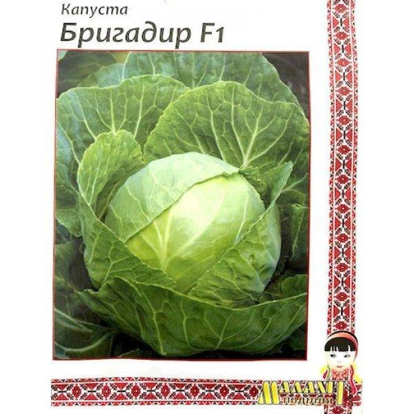 

Семена капусты "Бригадир" в профпакете