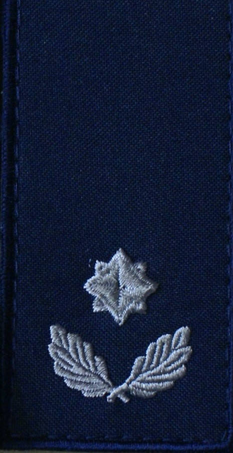 

Погон майора мчс нового образца