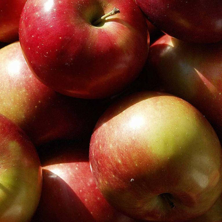 

Macintosh apple / Яблука макінтош, 10 г