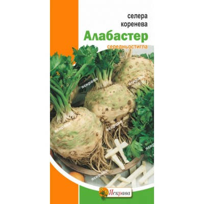 

Сельдерей корневой Алабастер