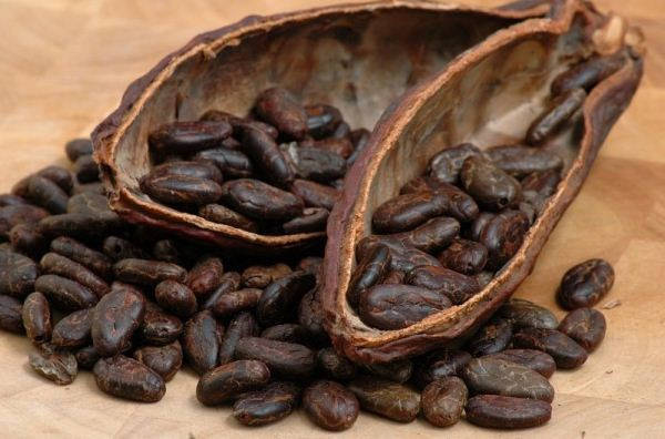 

Масло какао тертое 50 г