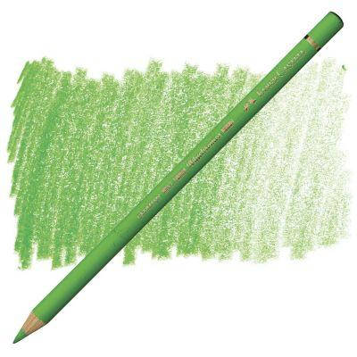 

ОЛІВЕЦЬ Polychromos, Faber-Castell, ЗЕЛЕНА ТРАВА (166)110166, Зелёный
