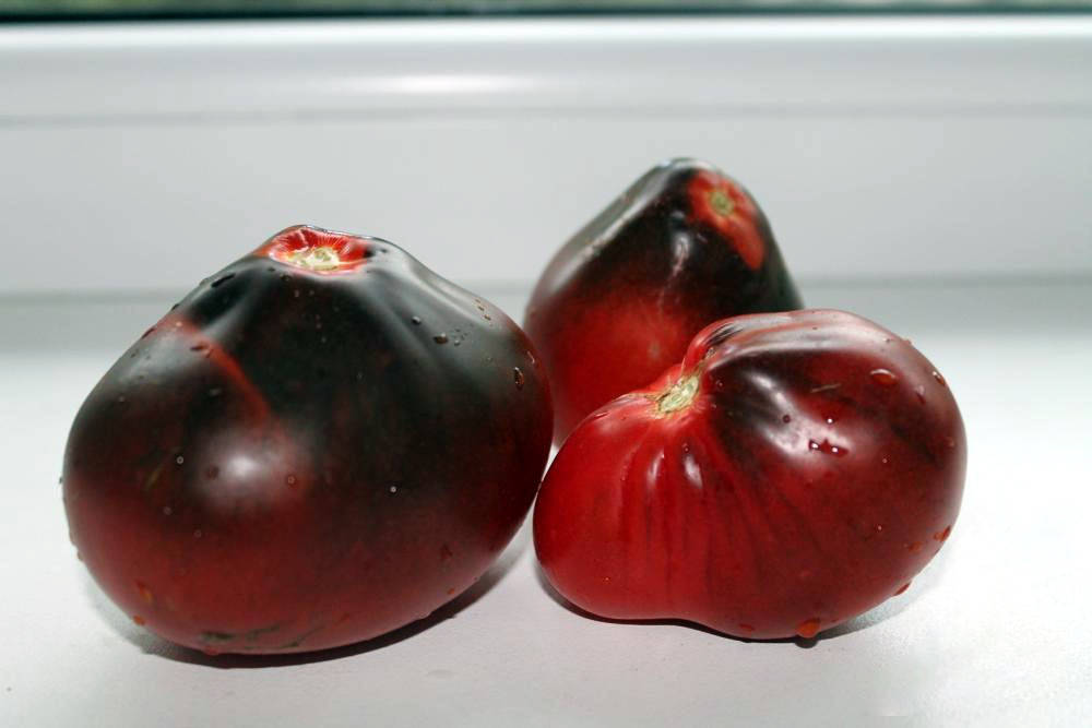 

Томат Синяя груша Духова