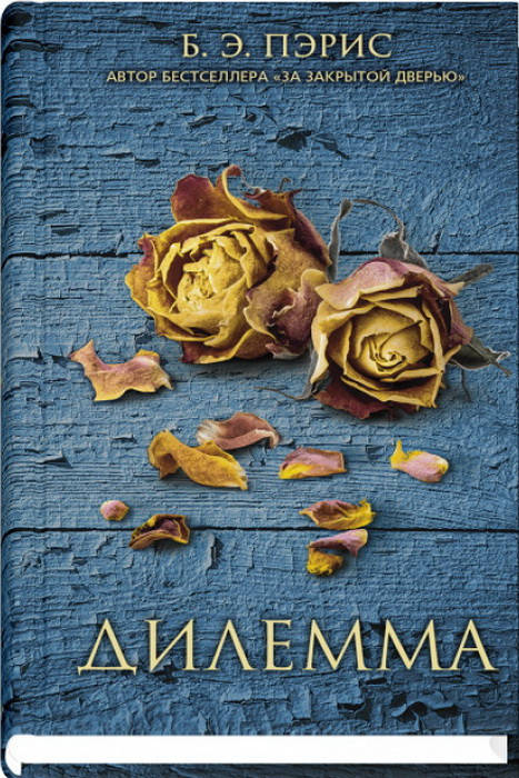 

Бернадетт Энн Пэрис Дилемма